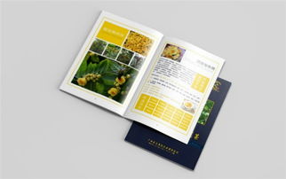 致青春 创意产品盒定制与广告策划，贺州专业代理代办服务